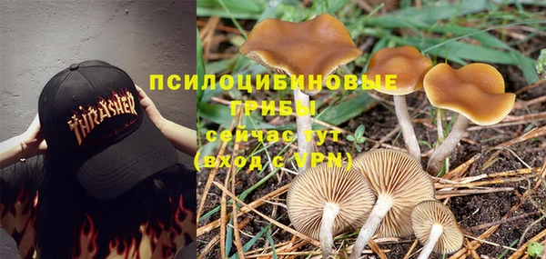 молекула духа Мегион
