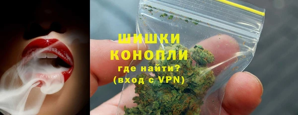молекула духа Мегион