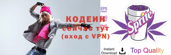 молекула духа Мегион