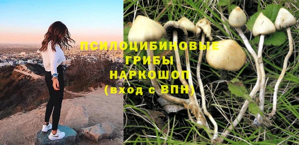 первитин Медногорск