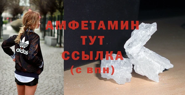 молекула духа Мегион