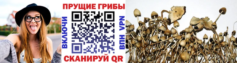 Галлюциногенные грибы прущие грибы  Купить где  Калязин 